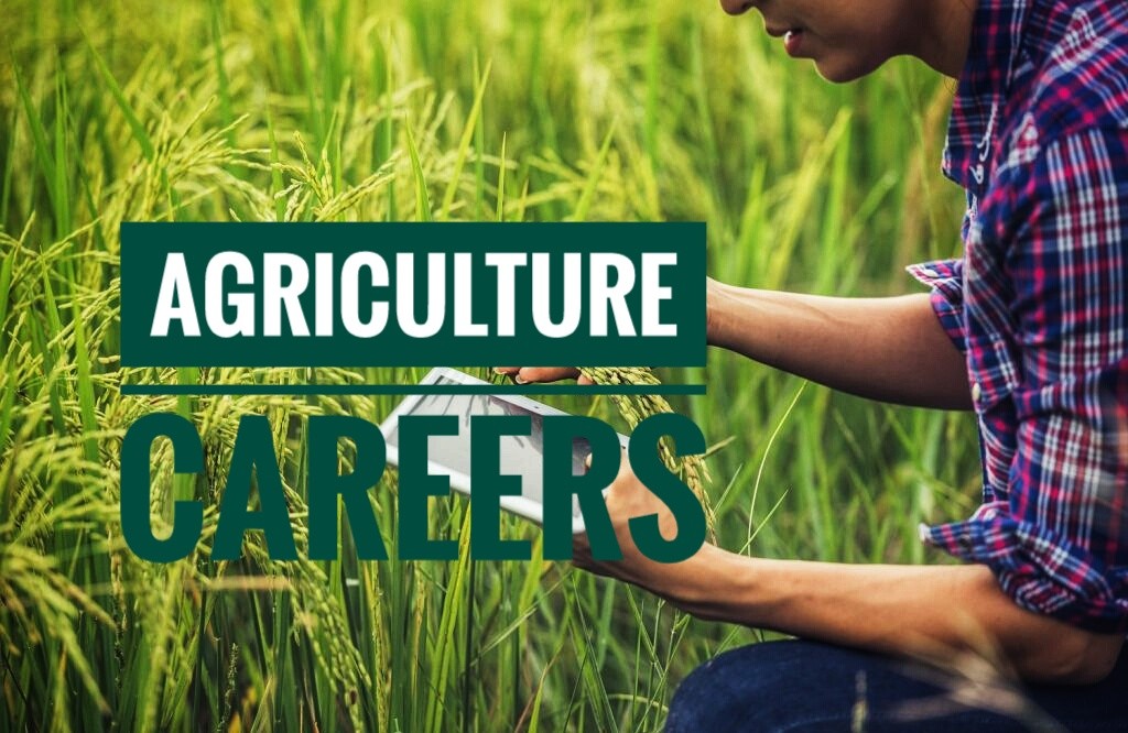 Careers in Agriculture