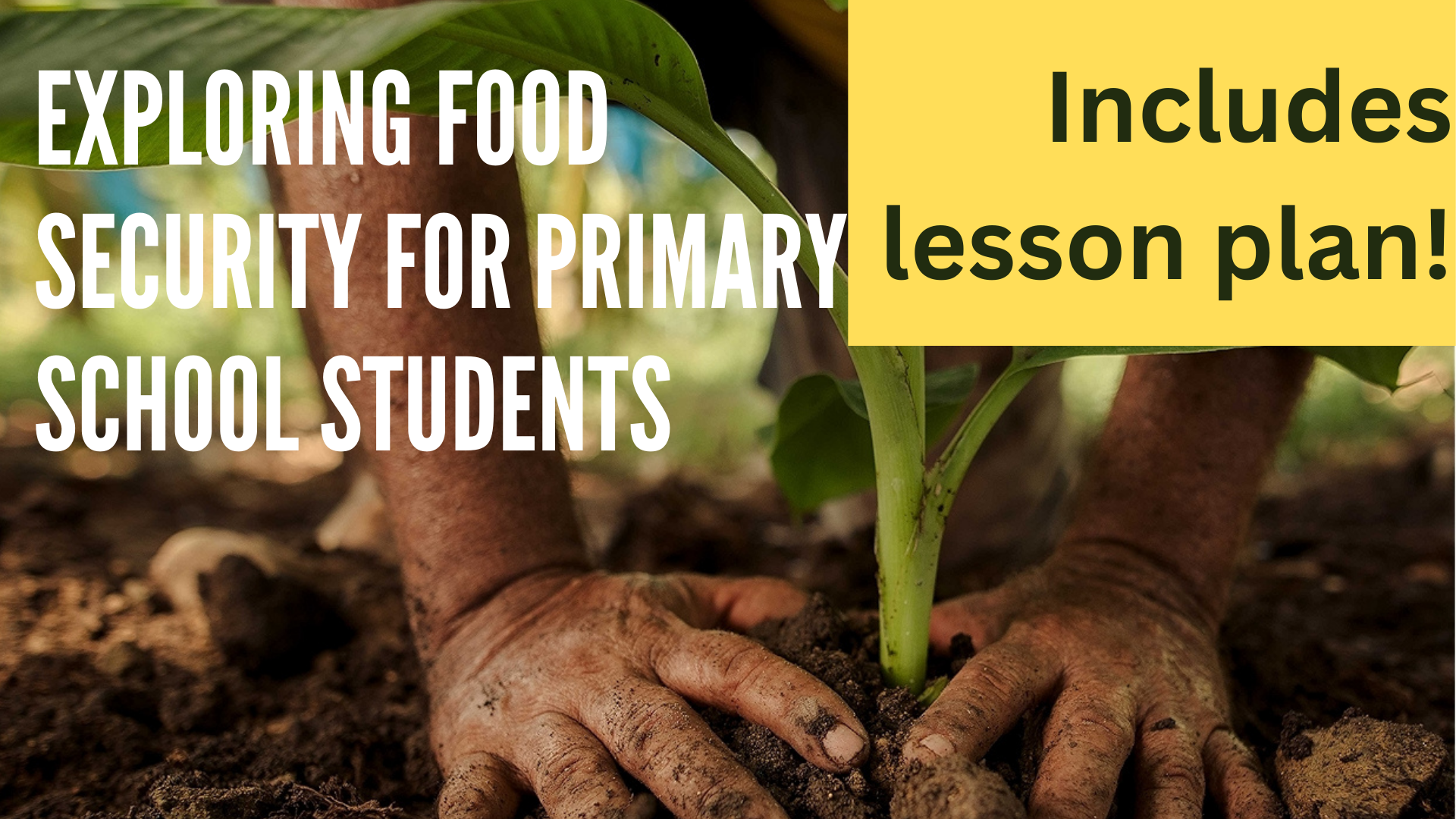 Exploring Food Security for Primary School Students