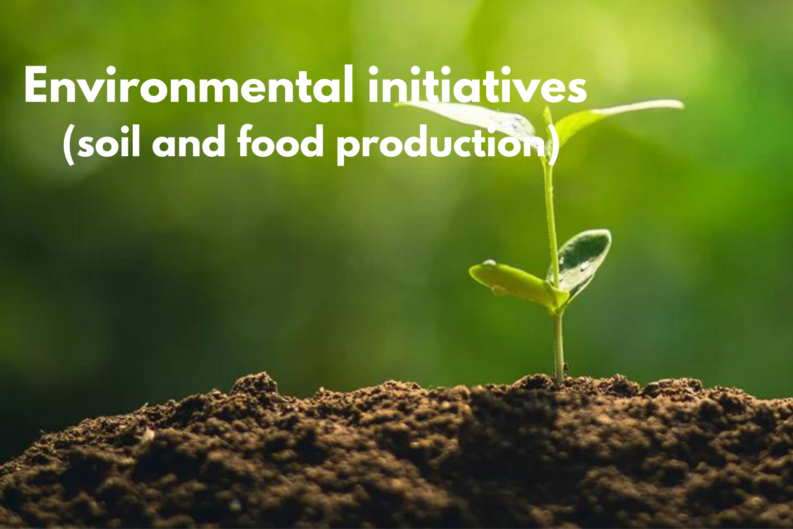 Environmental initiatives (soil and food production)